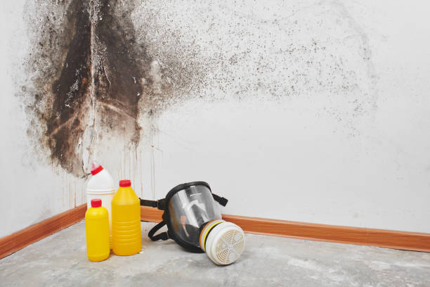 Best Crawl Space Mold Removal  in Uhland, TX