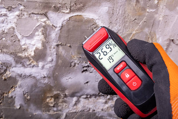 Best Attic Mold Removal  in Uhland, TX